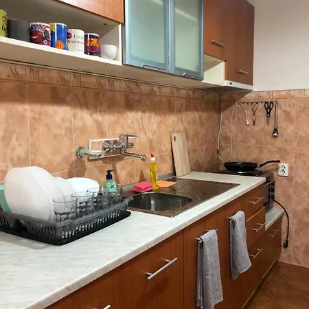 Apartment Artfan Guest