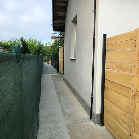 Artfan Guest バルバラ