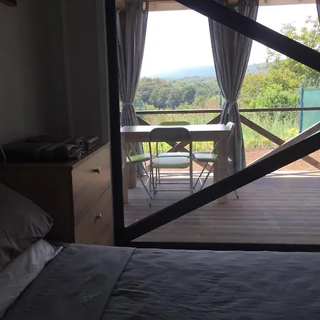 Artfan Guest * バルバラ