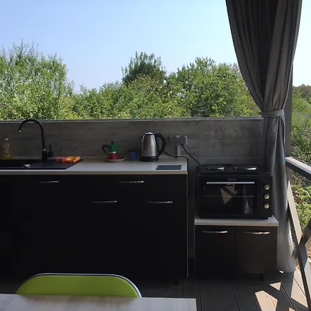 Artfan Guest バルバラ