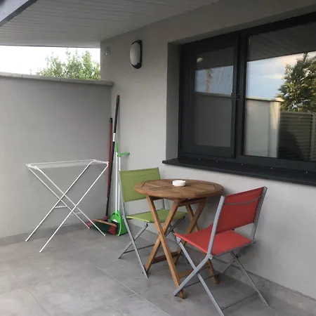 Artfan Guest バルバラ