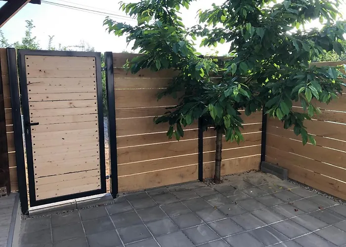 Artfan Guest Варвара