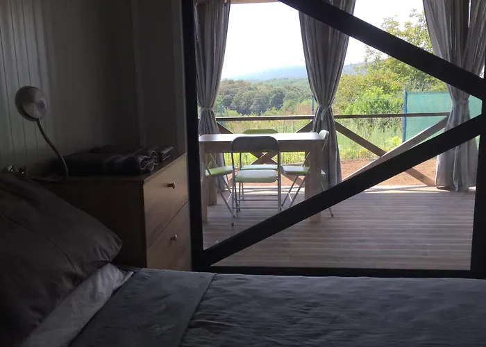 Artfan Guest * 바르바라