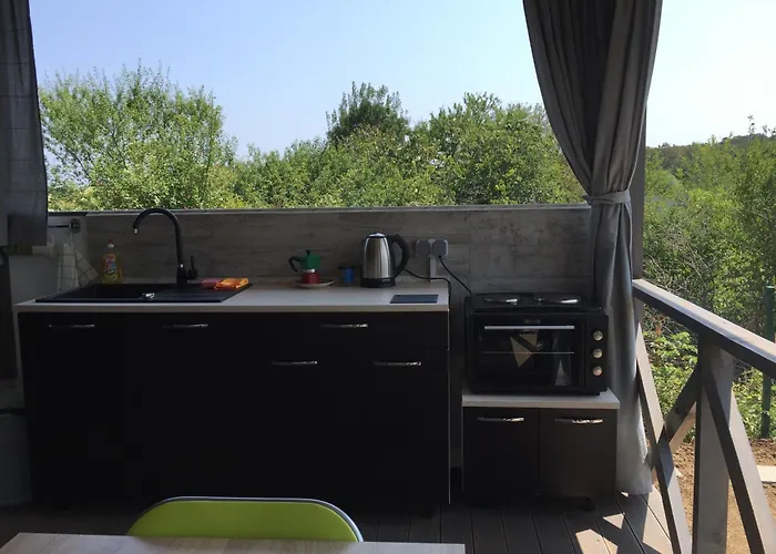 Artfan Guest Варвара